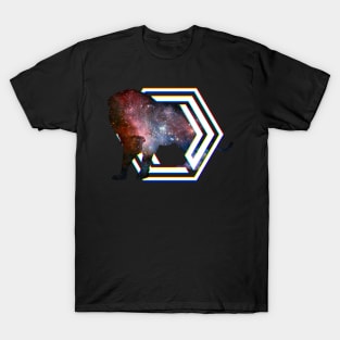 King of the galaxy T-Shirt